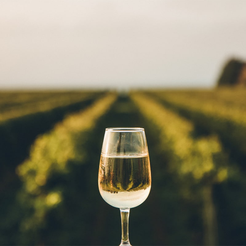 Natural Wines