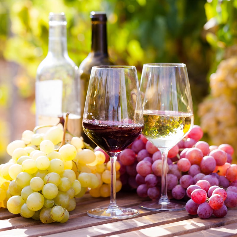 Organic Wines
